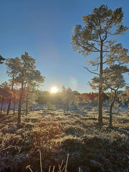 Koselig Og Moderne Leilighet, Meget Sentralt I Narvik Med Gratis Parkering! Экстерьер фото