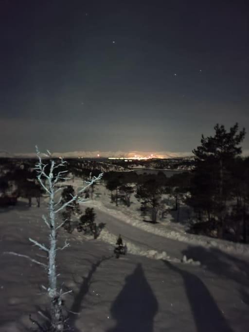 Koselig Og Moderne Leilighet, Meget Sentralt I Narvik Med Gratis Parkering! Экстерьер фото