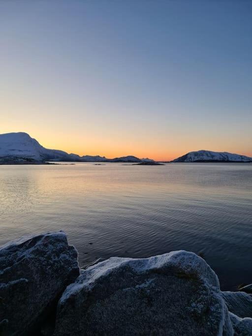 Koselig Og Moderne Leilighet, Meget Sentralt I Narvik Med Gratis Parkering! Экстерьер фото
