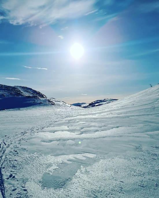 Koselig Og Moderne Leilighet, Meget Sentralt I Narvik Med Gratis Parkering! Экстерьер фото