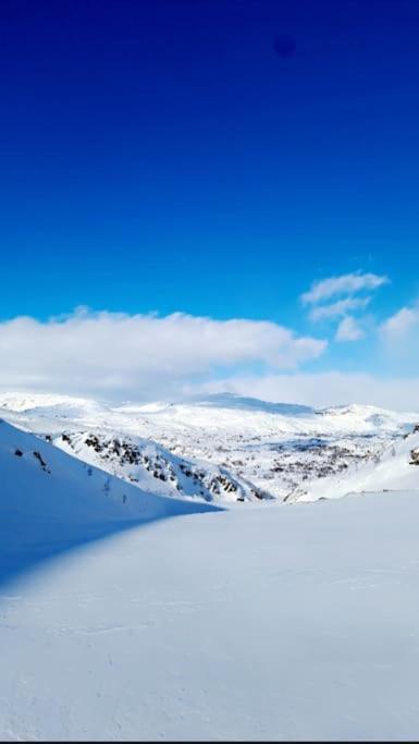 Koselig Og Moderne Leilighet, Meget Sentralt I Narvik Med Gratis Parkering! Экстерьер фото