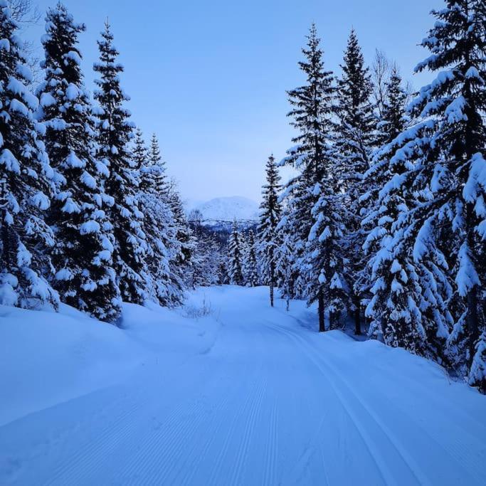 Koselig Og Moderne Leilighet, Meget Sentralt I Narvik Med Gratis Parkering! Экстерьер фото